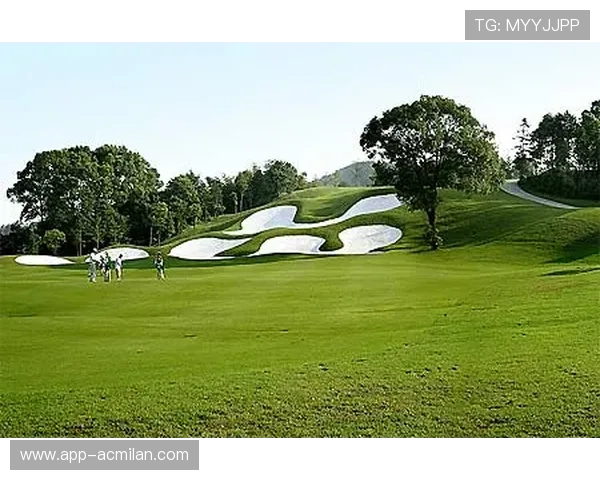 高尔夫球场出现神秘“回旋球”,理科生纷纷解构 高尔夫球场出现神秘“回旋球”,理科生纷纷解构