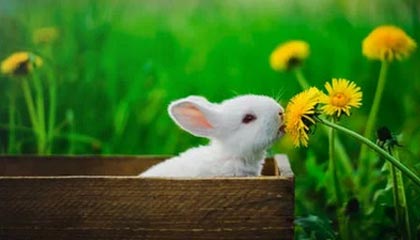 曼联后防线三人缺阵调整成关键，曼联后卫线