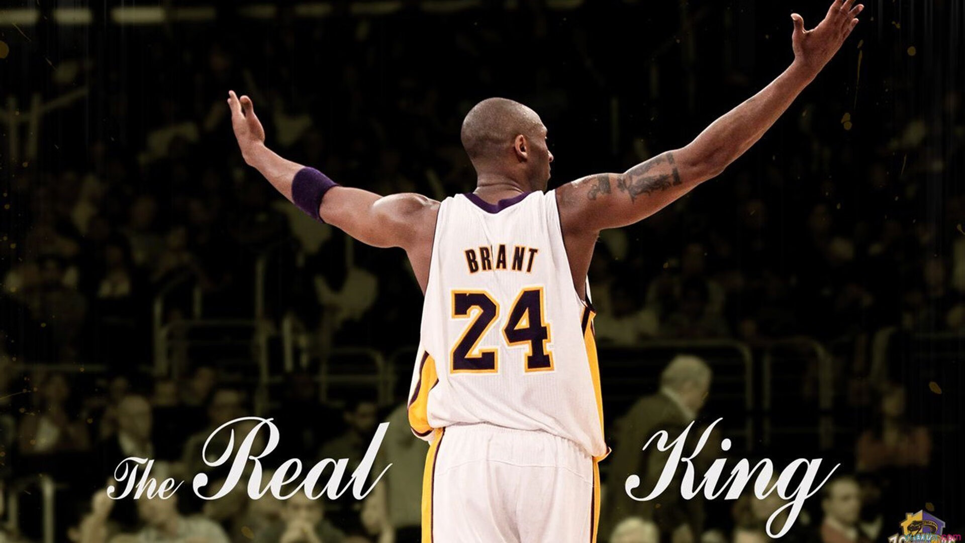 普费夫高难度动作成决赛关键，普费茨纳